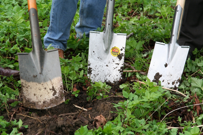 pepiniere-VALDEROURE-min_work-lawn-flower-tool-green-backyard-1103633-pxhere.com